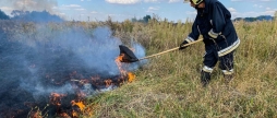 У Жмеринському районі вогонь обпалив майже три гектари землі