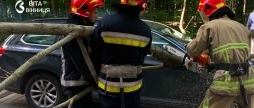 Удар стихії у Вінниці дерево розтрощило автомобіль, а вітер ледь не зірвав дах