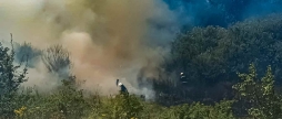 В екосистемах Вінниччини ліквідували п'ять пожеж за добу