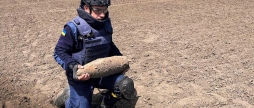 В Оратівській громаді знищили три артснаряди та міну часів Другої світової