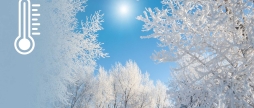 В останній день року у Вінниці буде сніжна та морозна погода