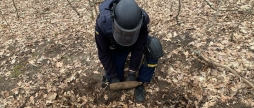 В Тульчинському районі сапери знешкодили снаряд часів Другої світової війни