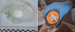 Величезну моркву начинену наркотиками переслали з волі в'язням на Вінниччині