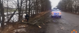 Вінницькі рятувальники прибрали з автошляхів повалені вітром дерева