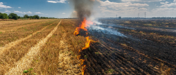 Вінницькі рятувальники шість разів за добу виїжджали гасити загоряння сухої трави