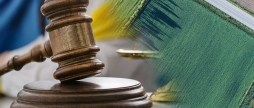 Вінницькій громаді повернули дві земельні ділянки вартістю 57 млн грн