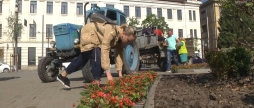 Вінницязеленбуд висаджує на міських клумбах квіткові композиції в народному стилі