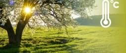 Вінничан чекає спекотний четвер - прогнози синоптиків на 24 квітня