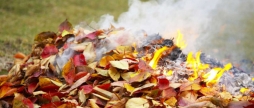 Вінничанам нагадують, чому спалювання сухої рослинності шкідливе для здоров’я