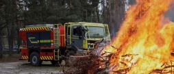 Вінничанам заборонили вхід до лісу пожежна небезпека зашкалює через аномальну спеку