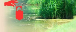 Вінничанка вкрала гроші у чоловіка, з яким відпочивала на пляжі