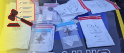 Вінничанка зберігала наркотичні речовини в особливо великих розмірах