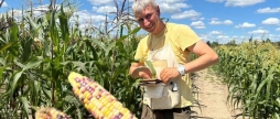 Вінницька “кукурудзяна вишиванка” підкорює світ — у Нідерландах звернули увагу на інноваційні сорти