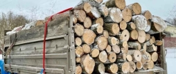 Вінницька область у ТОП-10 регіонів, де найбільше закуповують дрова