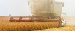 Вінницькі аграрії вже намолотили майже 2,5 млн зерна