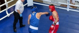 Вінницькі боксери привезли сім медалей з юніорського чемпіонату