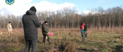 Вінницькі прокурори повідомили про підозру посадовцям, які незаконно вирубували дерева у Летичівському лісогосподарстві