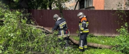 Вінницькі рятувальники прибирали дерева з доріг і відкачували воду з приміщень