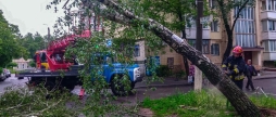 Вінницькі рятувальники прибирали повалені дерева з доріг та припаркованих авто