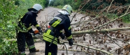 Вінницькі рятувальники шість разів виїжджали розкряжовувати повалені вітром дерева