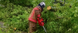 Вінницькі рятувальники сім разів виїздили на виклики щодо повалених дерев