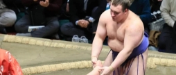 Вінницький борець сумо Аонішікі знову переміг на Hatsu Basho