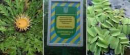Вінницький національний парк «Кармелюкове Поділля» суттєво розширять