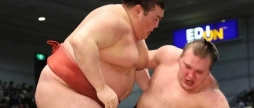 Вінницький сумоїст Аонішікі ще раз програв на турнірі Haru Basho
