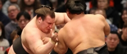 Вінницький сумоїст Аонішікі зазнав поразки на турнірі Haru Basho 2026