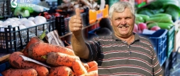 Вінниця формує свій власний «пояс продовольчої безпеки» як підтримують місцевих фермерів