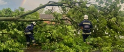 Вісім виїздів за добу на ліквідацію наслідків негоди здійснили вінницькі рятувальники