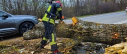 Вітер наробив лиха на Вінниччині де саме розчищали дороги від завалів