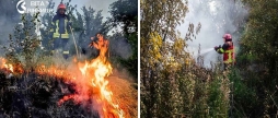 Вогонь охопив три райони Вінниччини рятувальники назвали причину пожеж