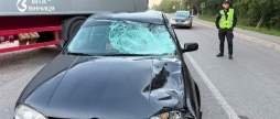 Вибіг на дорогу під колеса авто під Вінницею загинув 66-річний чоловік
