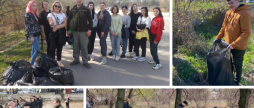 Як долучитись до традиційної весняної толоки у Вінниці