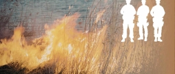 Як у Вінниці мобільні групи Муніципальної варти зупиняють паліїв сухої рослинності