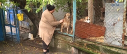  Як вінничани можуть допомогти притулку для собак Планета