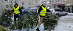 Як вінничани можуть утилізувати ялинки після новорічних свят