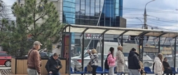 З Майдану Небесної Сотні до «Пироговки» чому у Вінниці перемістили вуличні кашпо з деревами