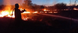 За добу на Вінниччині загасили 23 пожежі в екосистемах