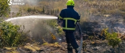 За добу на Вінниччині вогонь охопив понад 8 гектарів екосистем