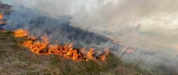 За добу на Вінниччині загасили сім пожеж, що сталися в екосистемах