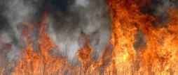 За добу рятувальники Вінниччини загасили 14 загорянь сухої рослинності