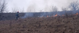 За добу рятувальники Вінниччини загасили дев'ять пожеж в екосистемах