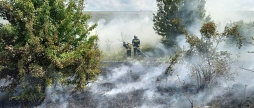 За добу рятувальники Вінниччини загасили чотири пожежі