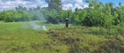 За добу рятувальники Вінниччини загасили сім пожеж