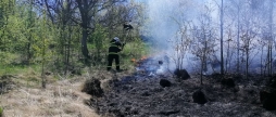 За минулу добу рятувальники Вінниччини 14 разів виїжджали на гасіння пожеж