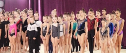 За участі 270 талановитих гімнасток стартував чемпіонат міста Вінниці