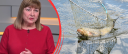 Заборона на вилов риби що заборонено та які штрафи очікують на порушників