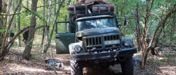 Збитків на 6,5 млн грн у природному парку на Вінниччині незаконно рубали дерева